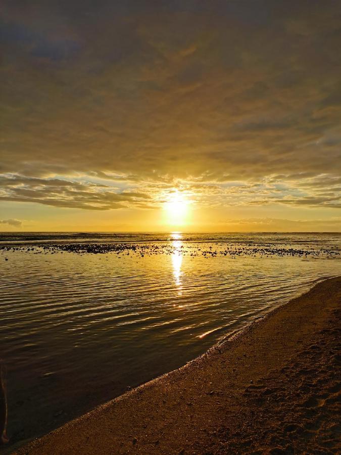 Au Bord De L'Eau La Saline Les Bains Lägenhet Exteriör bild
